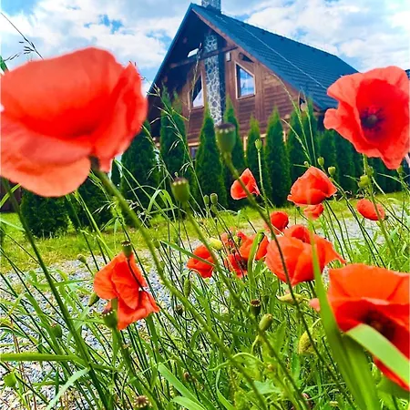 Chalet Zrub Vlasky *